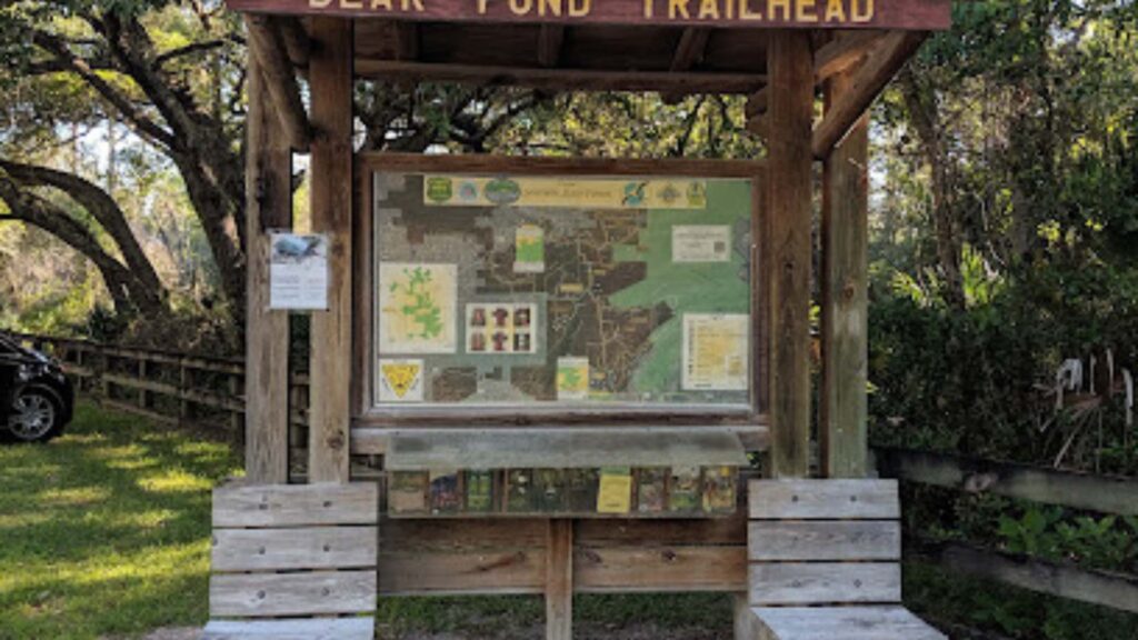Florida Trail Bear Pond Trailhead