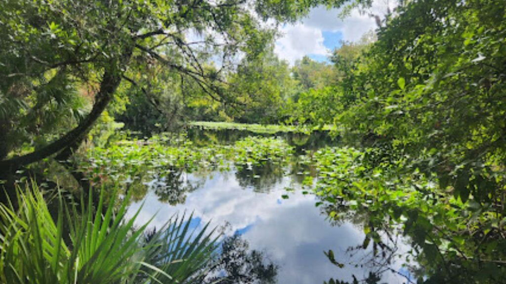 Rock Springs Run Wildlife Management Area