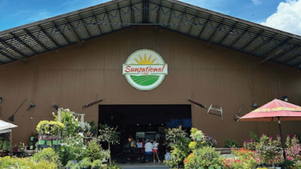 SUNSATIONAL FARMS UMATILLA