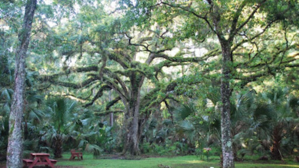 Trout Lake Nature Center